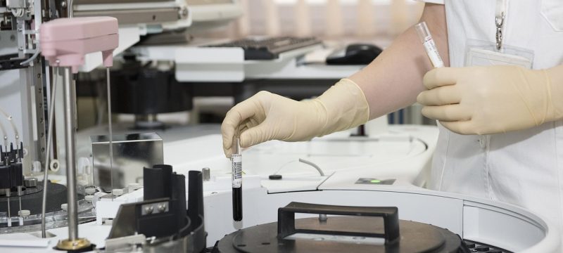 动物tickling研究场景——科学家在实验室环境中对大鼠进行tickling行为研究，展示动物对tickling的反应与人类的相似性，科学纪录风格